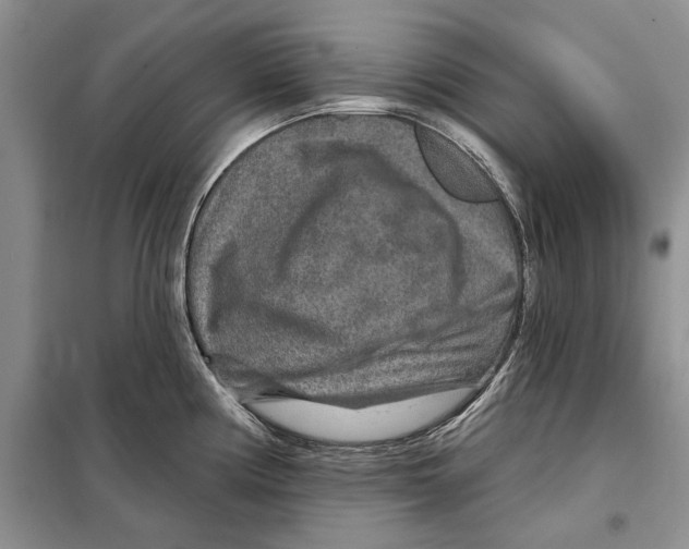 X0000097871194200804110916