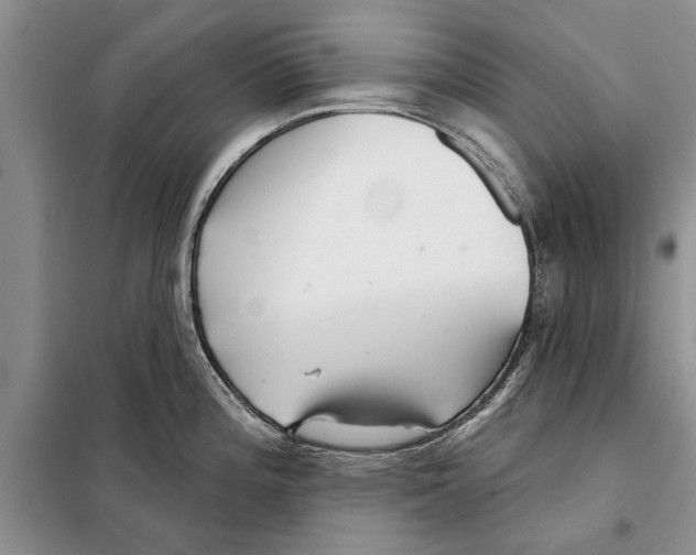 X0000097871196200804110916