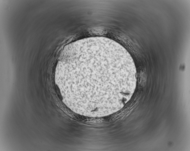 X0000097871201200804110915