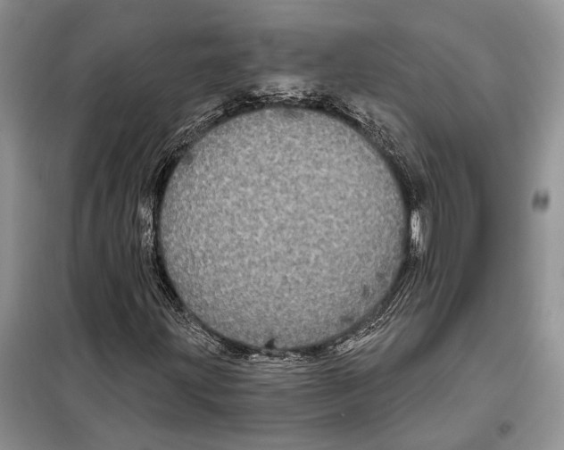 X0000097871203200804110915