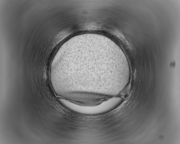 X0000097871209200804110915