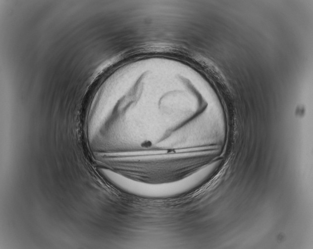 X0000097871210200804110915