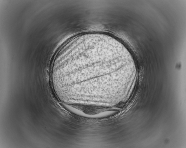 X0000097871212200804110915