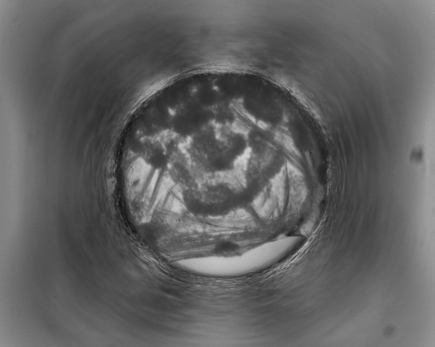 X0000097871213200804110915