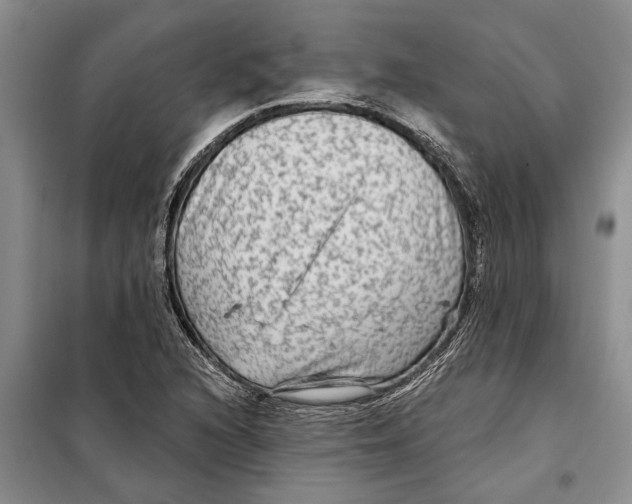 X0000097871216200804110915