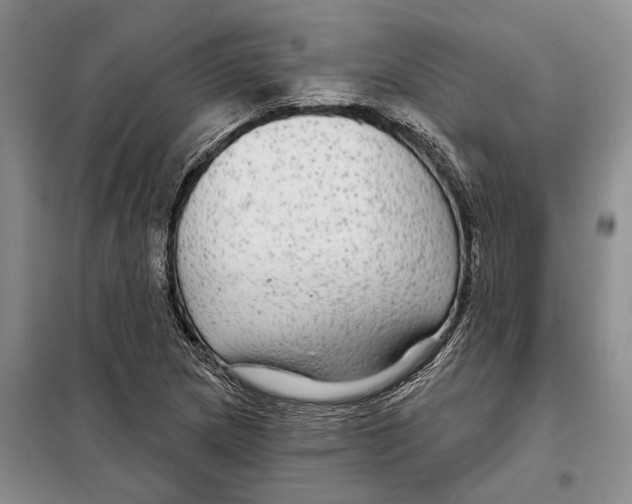 X0000097871217200804110915