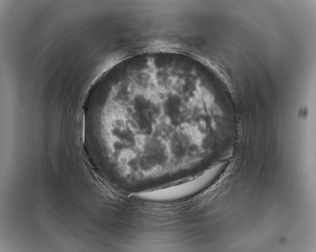 X0000097871219200804110915