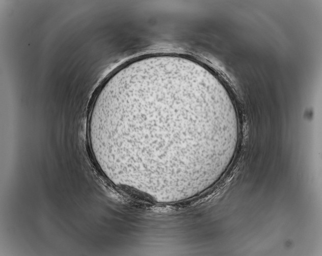 X0000097871220200804110915