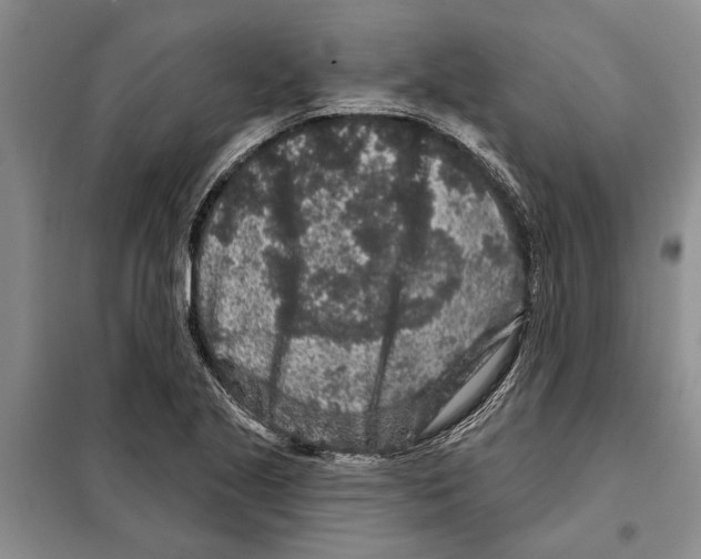 X0000097871221200804110915