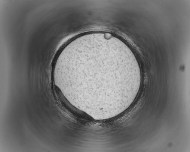 X0000097871222200804110915