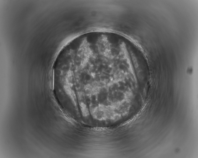X0000097871223200804110915