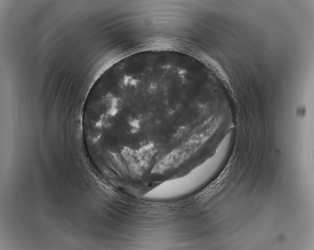 X0000097871226200804110915