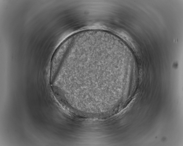 X0000097871228200804110915