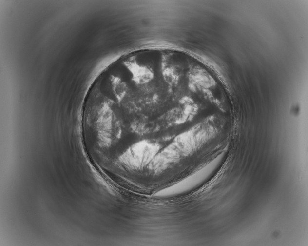 X0000097871231200804110916