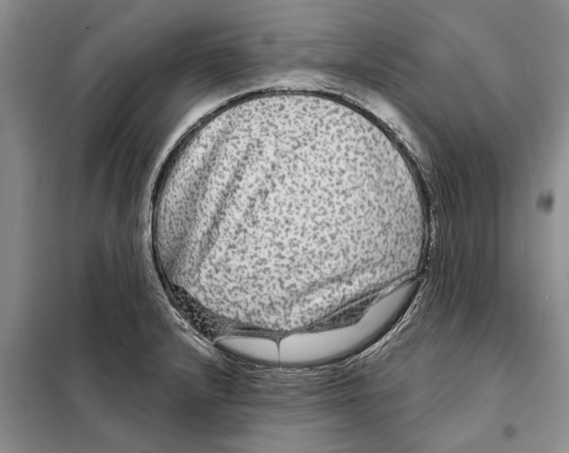 X0000097871232200804110916