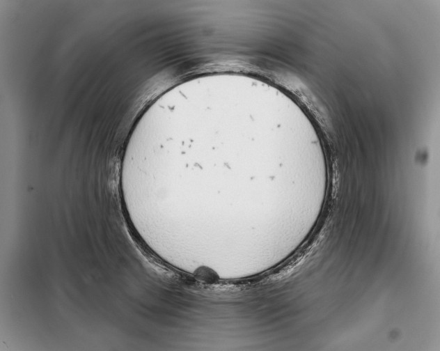 X0000097871233200804110916