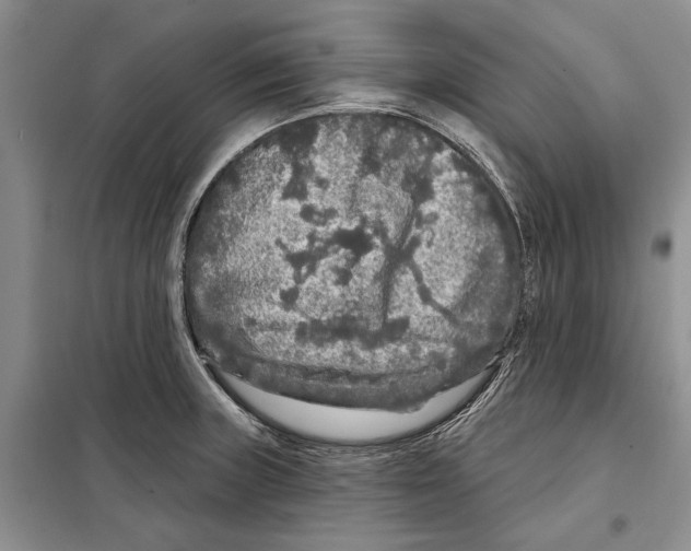 X0000097871235200804110916