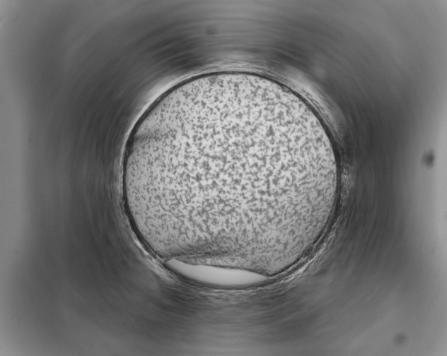 X0000097871236200804110916