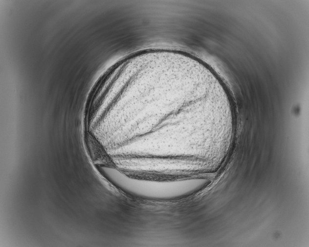X0000097871237200804110916