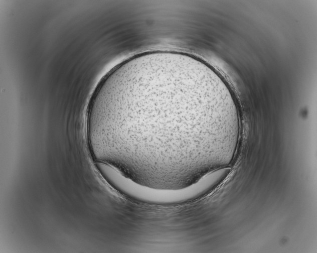X0000097871238200804110916