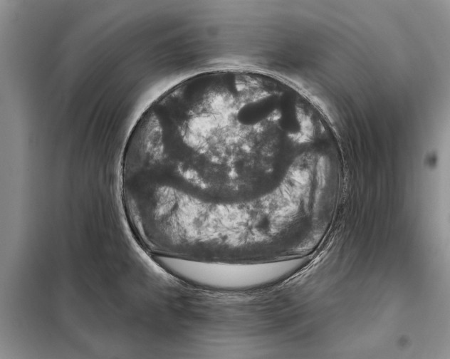 X0000097871239200804110916