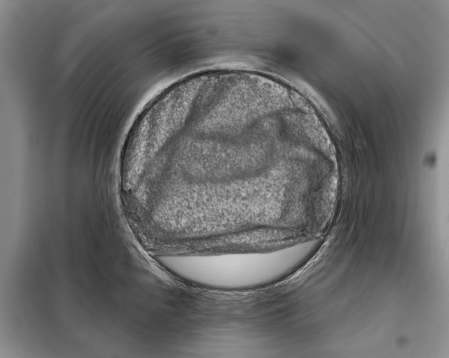 X0000097871240200804110916
