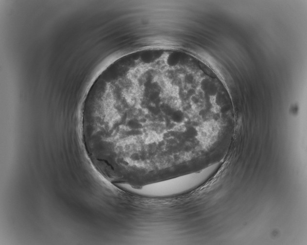 X0000097871243200804110916