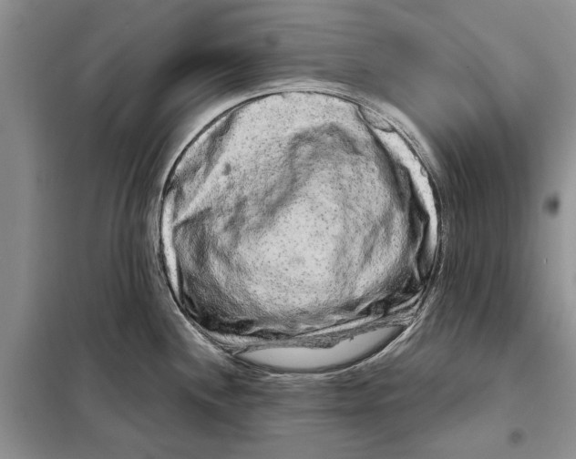 X0000097871244200804110916
