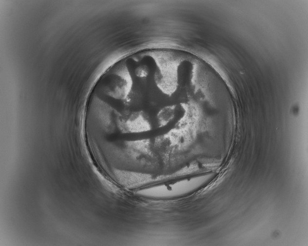 X0000097871245200804110916