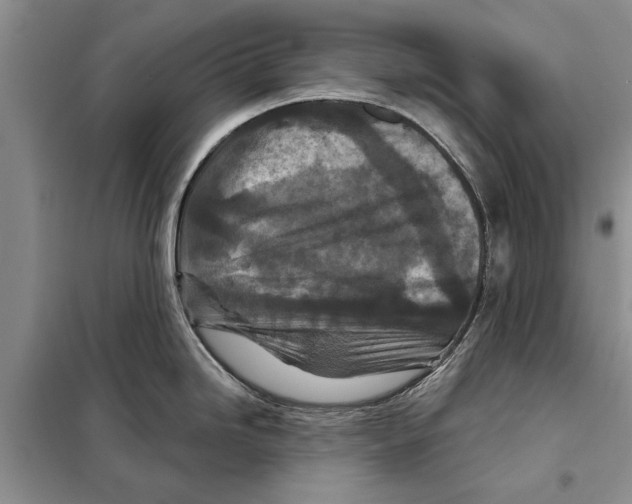 X0000097871246200804110916