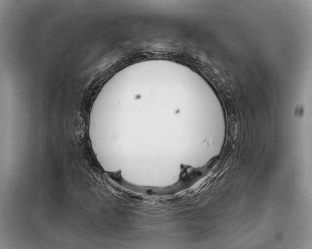 X0000097871253200804110915