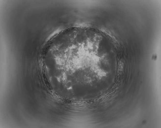 X0000097871254200804110915