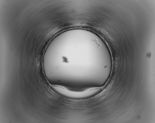 X0000097871257200804110915