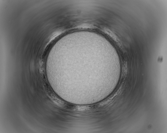 X0000097871258200804110915