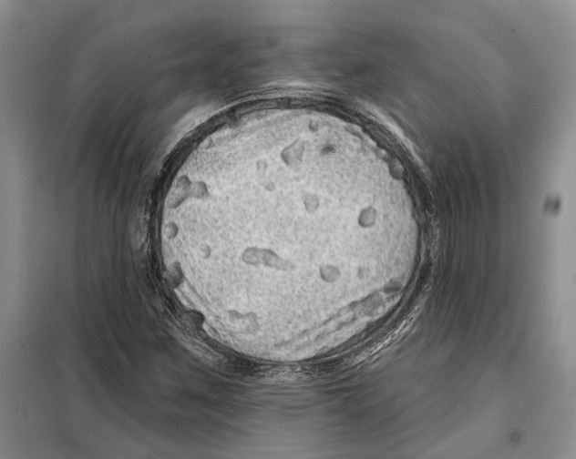 X0000097871259200804110915
