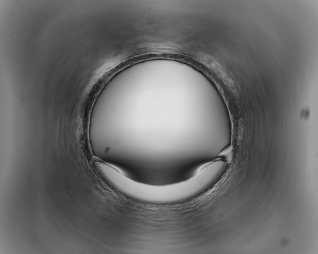 X0000097871261200804110915