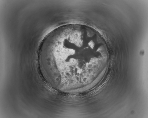 X0000097871263200804110915