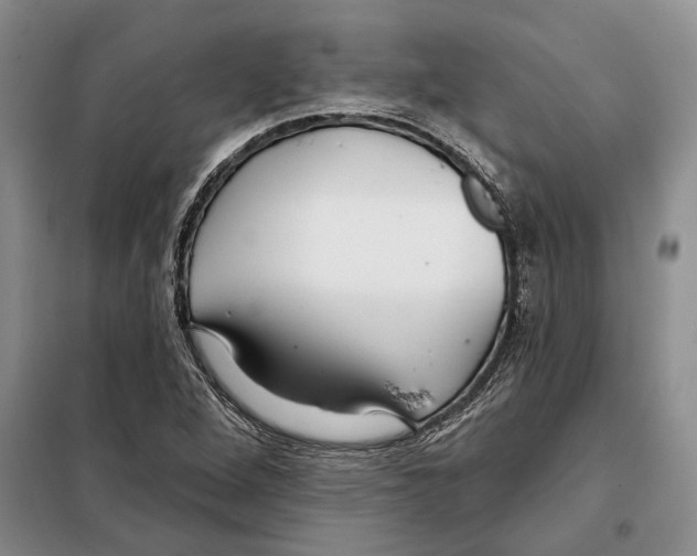X0000097871264200804110915