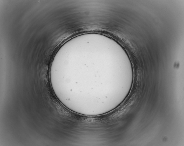 X0000097871265200804110915