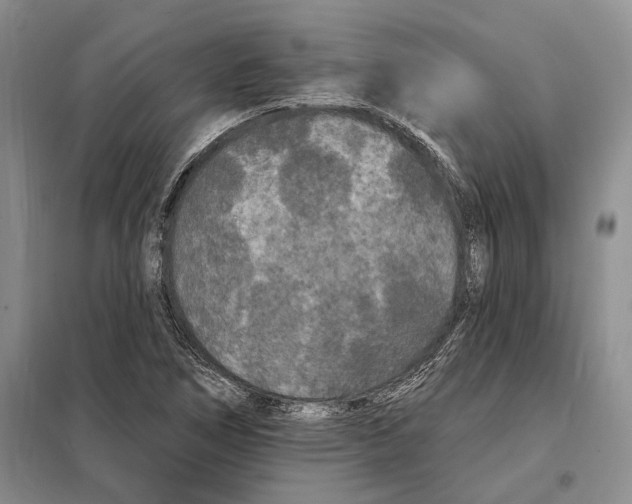 X0000097871266200804110915