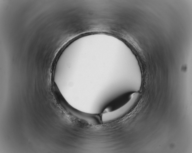 X0000097871268200804110915
