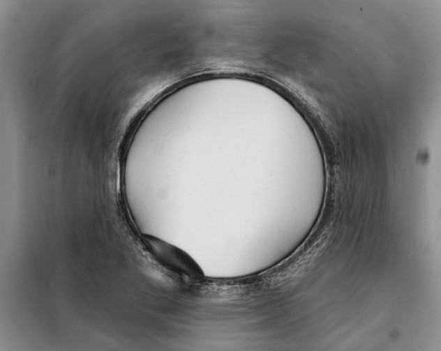 X0000097871269200804110915