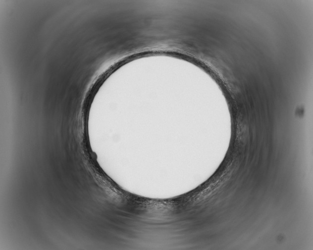 X0000097871270200804110915