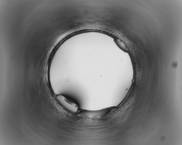 X0000097871272200804110915