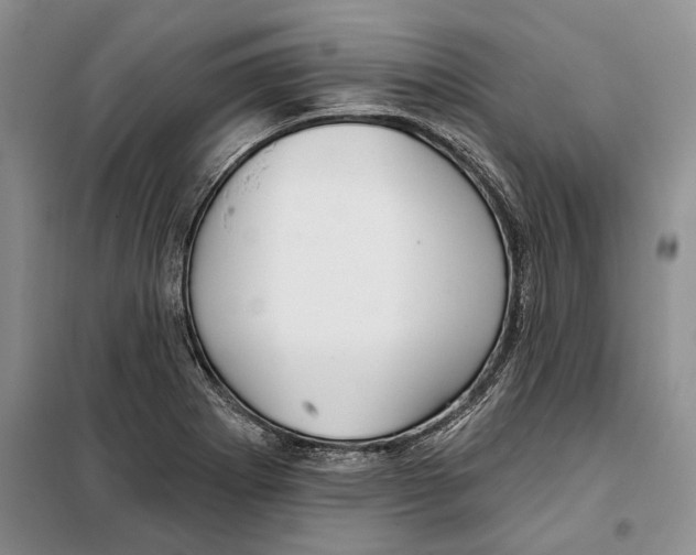 X0000097871273200804110915