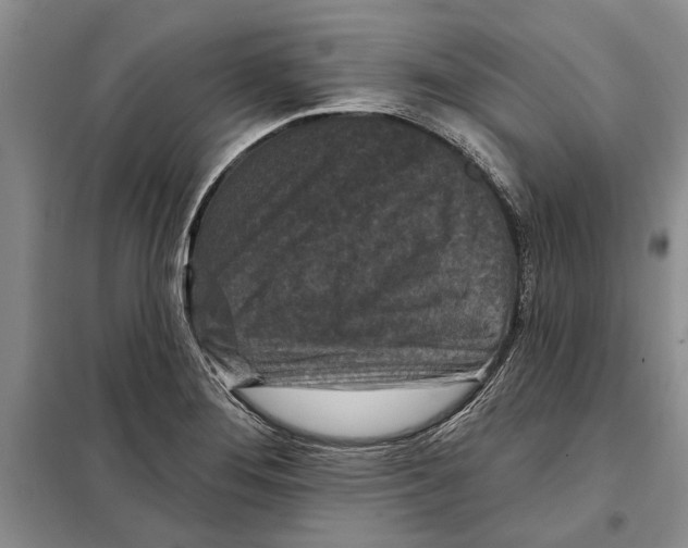 X0000097871276200804110914