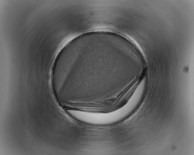 X0000097871277200804110914