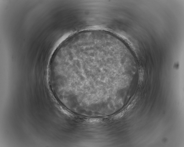 X0000097871278200804110914