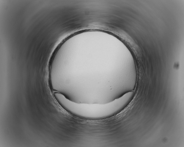 X0000097871280200804110914