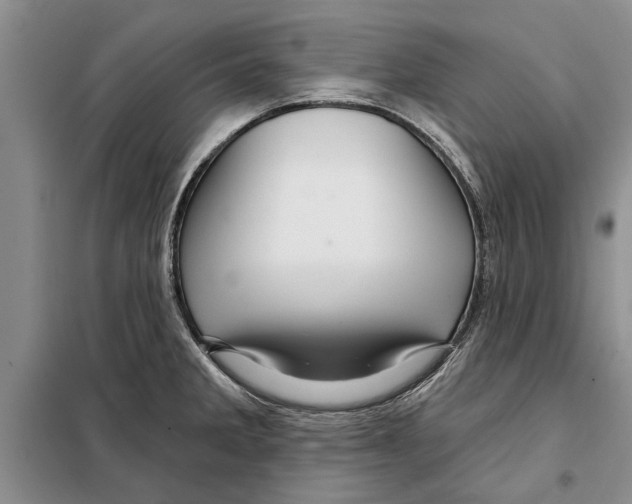 X0000097871285200804110914